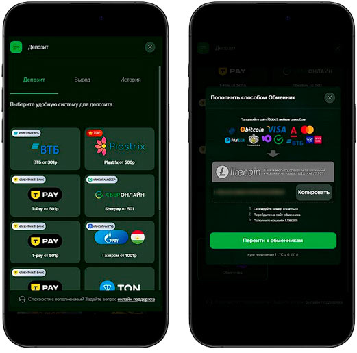 Способы внесения депозита в Riobet Casino