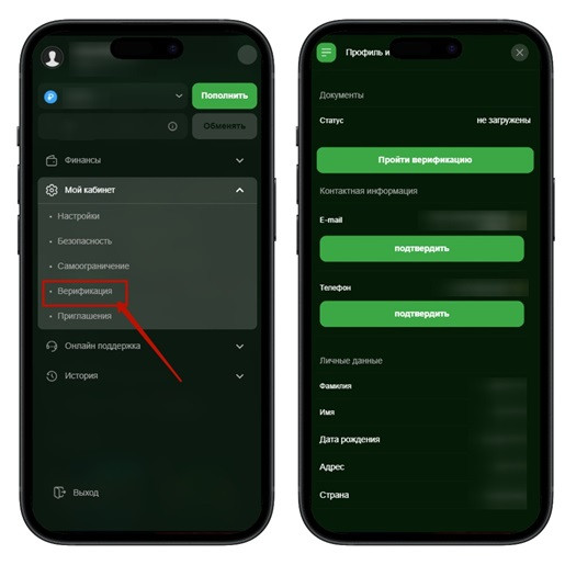 Верификация игрока